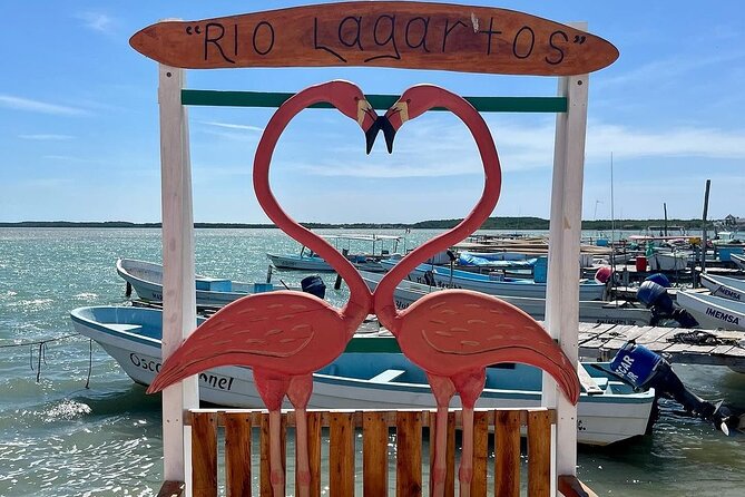 Las Coloradas Tour to Pink Lakes and Wildlife Wonders - Lunch with Local Flavors: Fish, Ceviche, or Seafood Soup