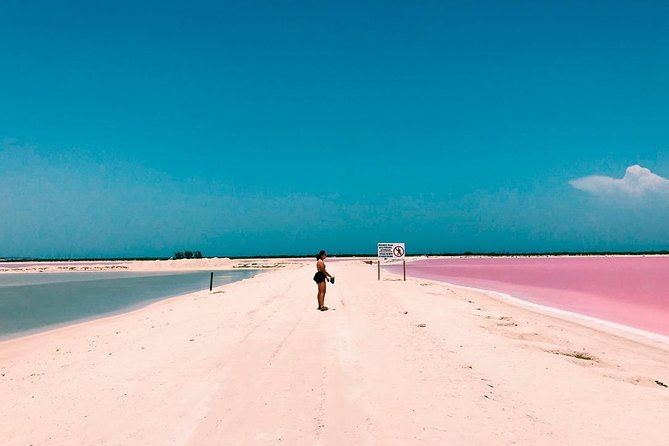 Las Coloradas Tour With Transportation from Playa del Carmen - Unique Activities: Salt and Seafood Experiences