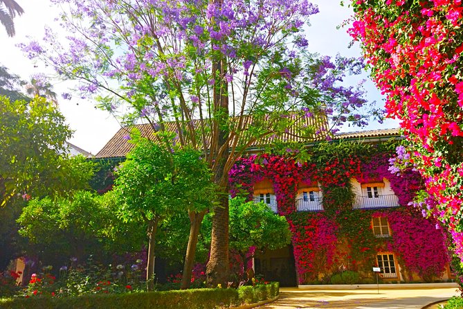 "Las Dueñas" Palace ticket + Audioguide - Visitor Experiences and Ratings