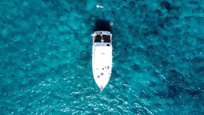 Las Galletas: Whale & Dolphin Tour with Local Skipper - Scenic Return Along Tenerife’s Coastline