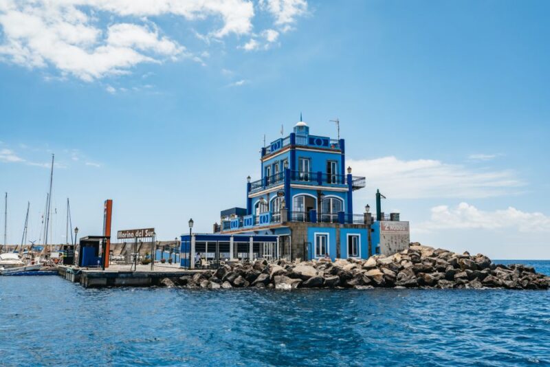 Las Galletas: Whale & Dolphin Tour with Local Skipper - Guides and Crew: Knowledgeable and Friendly