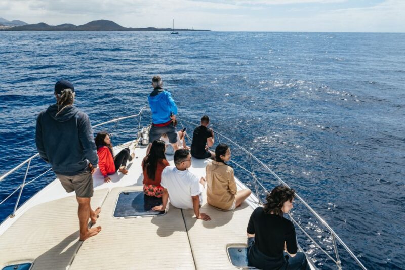 Las Galletas: Whale & Dolphin Tour with Local Skipper - Overall Value and Suitability