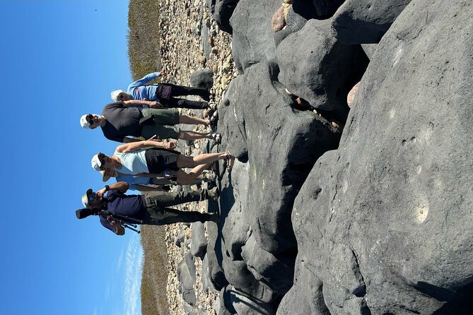 Las Labradas Archaeological Site - Nature and History Tour - What to Expect at the Petroglyphs of Las Labradas