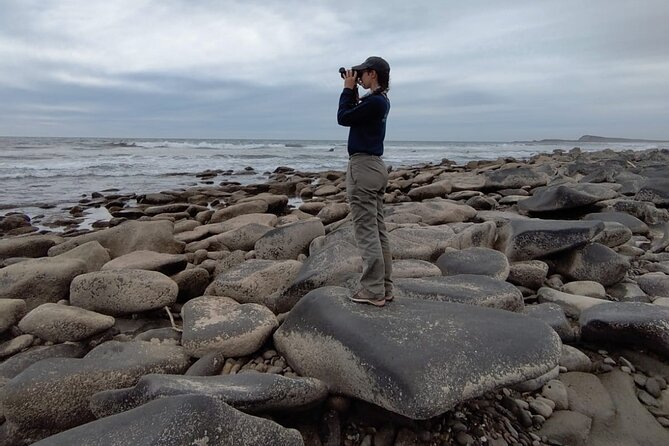 Las Labradas Archaeological Site - Nature and History Tour - Included Equipment and Amenities