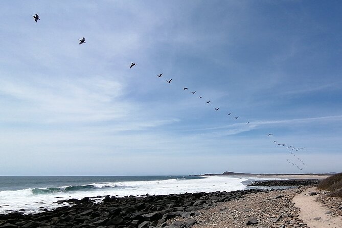 Las Labradas Archaeological Site - Nature and History Tour - Visiting Las Labradas: Is It Right for You?
