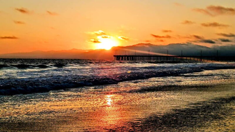 LA's Most Romantic Luxury Wine & Dine Boat Cruise & Sealions - Navigating Parking and Access