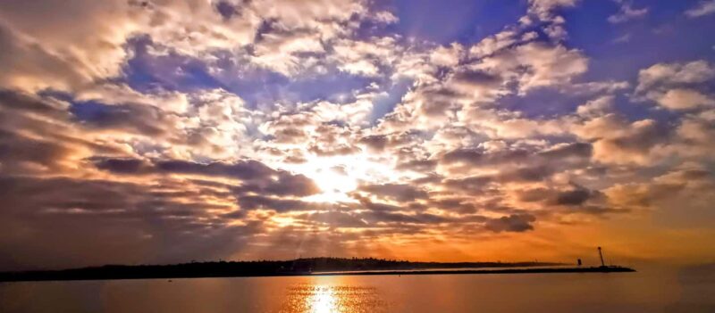 LA's Most Romantic Luxury Wine & Dine Boat Cruise & Sealions - What’s Included in the Cruise