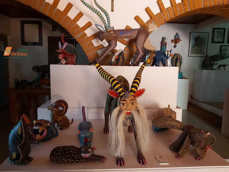 Las Nieves Monte Albán, Arrazola, Cuilapam 6h Bike Tour - The Guide and Tour Experience