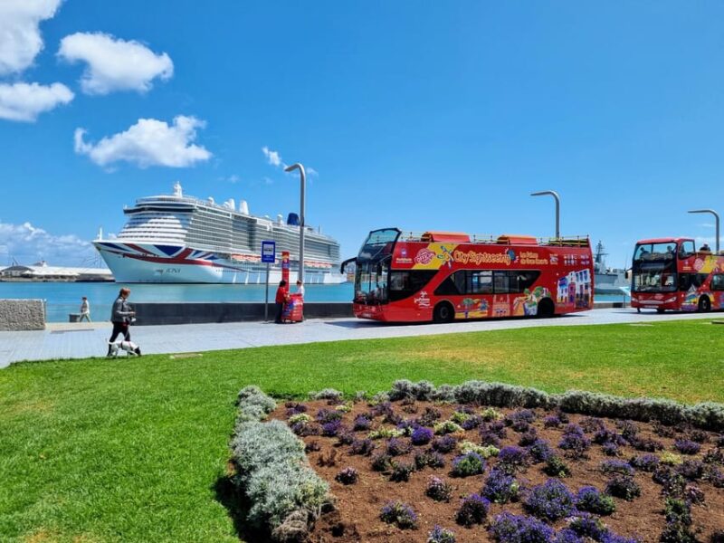 Las Palmas: City Sightseeing Hop-On Hop-Off Bus Tour - The Onboard Experience and Audio Guide