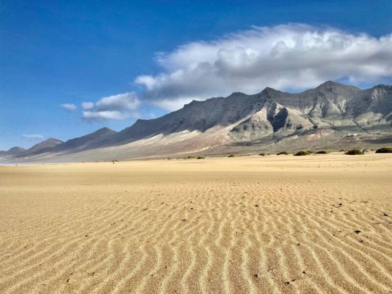 Las Palmas: Fuerteventura Cofete Beach and Desert Safari - Key Points
