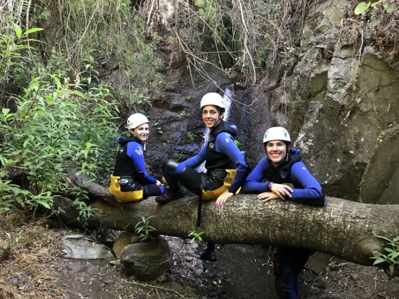 Las Palmas, Gran Canaria: Canyoning Adventure - Exploring Los Marteles Natural Reserve