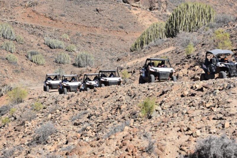 Las Palmas: Gran Canaria Guided Buggy Tour - Discover the Rugged Landscape of Gran Canaria on a Guided Buggy Tour
