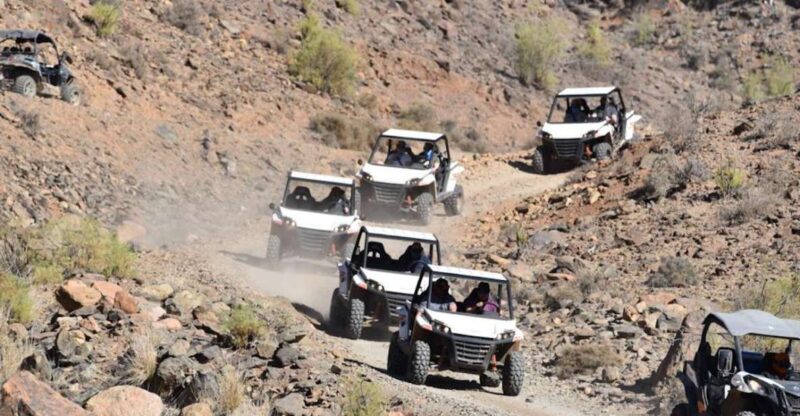 Las Palmas: Gran Canaria Guided Buggy Tour - What to Expect During the Off-Road Buggy Ride
