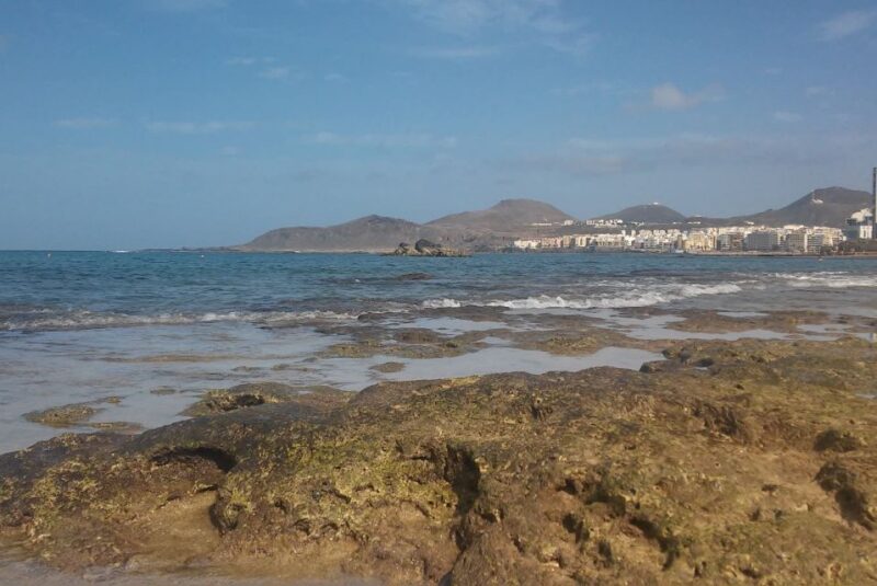 Las Palmas: Las Canteras Beach Snorkeling Trip - Discover the Vibrant Underwater World at Las Canteras Beach