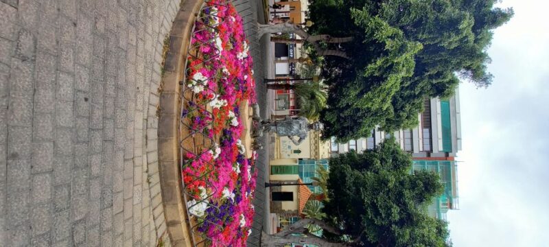 Las Palmas: Private City Highlights & Northern Villages Tour - Visiting Firgas: The Village of Waterfalls and Terraces