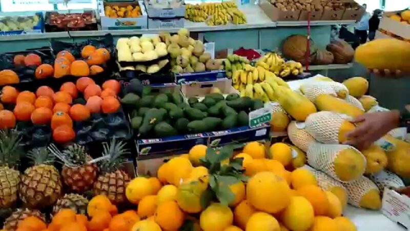 Las Palmas: Private Old City Guided Walking Tour with Tapas - Why This Tour Excels According to Reviews