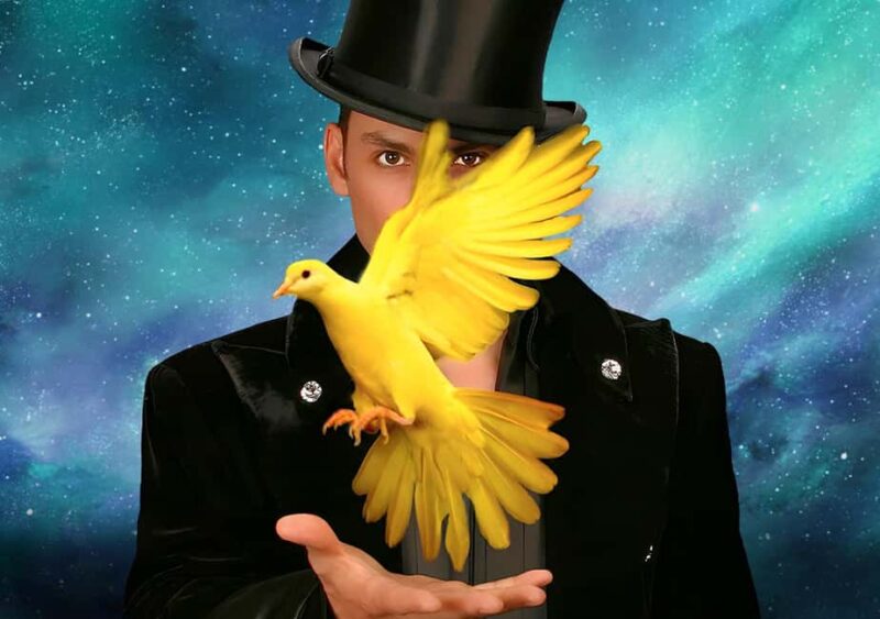 Las Vegas: Allstars Of Magic - What to Expect During the 75-Minute Show