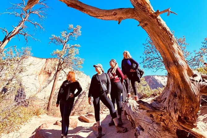 Las Vegas Antelope Canyon, Bryce Canyon, Zion 2 Days Tour - Key Points