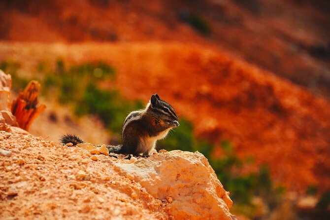 Las Vegas Antelope Canyon, Bryce Canyon, Zion 2 Days Tour - Scenic Lake Powell and Reflection of Canyons