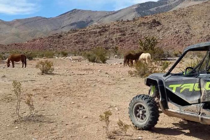 Las Vegas ATV/ RZR Off Road Adventure - Key Points