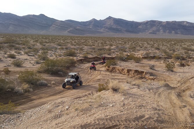 Las Vegas ATV/ RZR Off Road Adventure - Wildlife Encounters and Natural Beauty