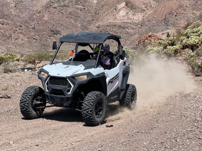 Las Vegas: Colorado River Adrenaline RZR Tour - Activities at the Colorado River and Beyond