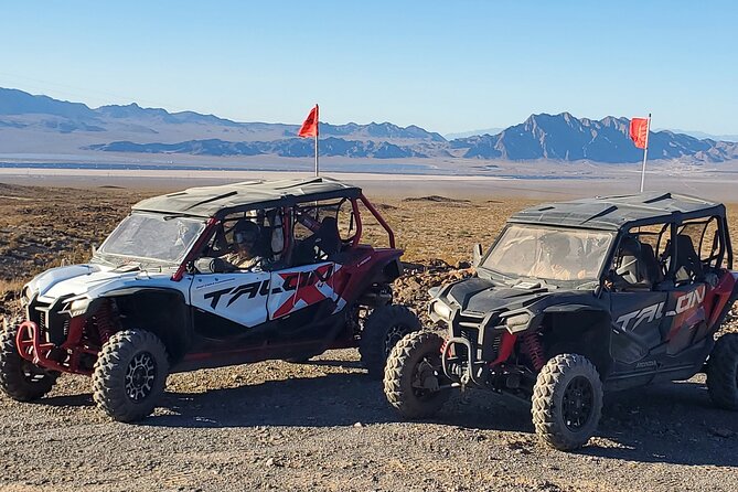Las Vegas Desert Buggy Experience - The Pickup at Mandalay Bay and Transportation Details