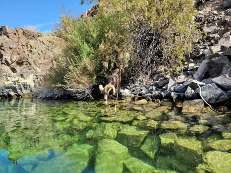 Las Vegas: Emerald Cave Kayak Tour with Photos - Physical Requirements and Accessibility
