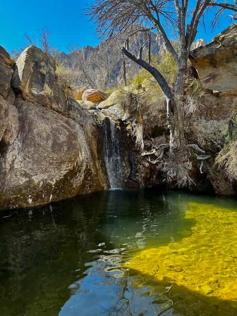 Las Vegas: Family Friendly Guided Hike to Emerald Falls - Key Points