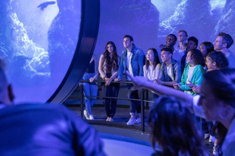 Las Vegas: Flyover in Las Vegas Experience Ticket - Key Points