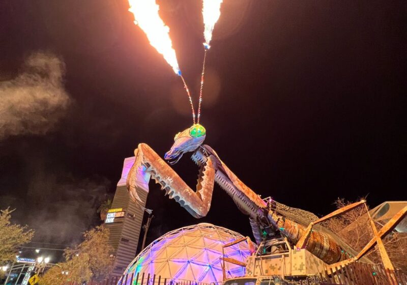 Las Vegas: Fremont Cocktail Crawl & Guided Walking Tour - Why This Tour Stands Out in Downtown Vegas