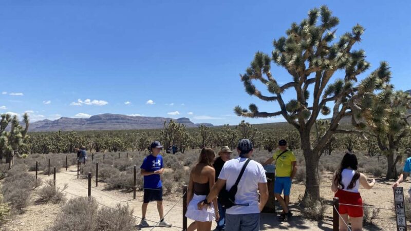 Las Vegas: Grand Canyon Helicopter & Ranch Adventure by Bus - Scenic Drive from Las Vegas to the Grand Canyon Western Ranch