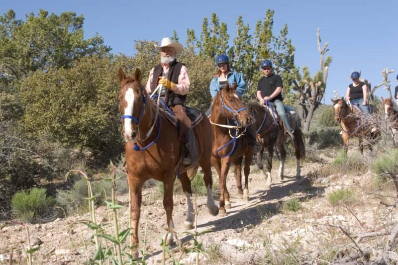 Las Vegas: Grand Canyon Helicopter & Ranch Adventure by Bus - Optional Ranch Activities and Additional Costs