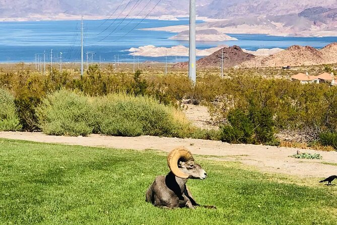 Las Vegas: Guided Kayak Tour from Willow Beach to Emerald Cave - Navigating the Calm Waters of Willow Beach