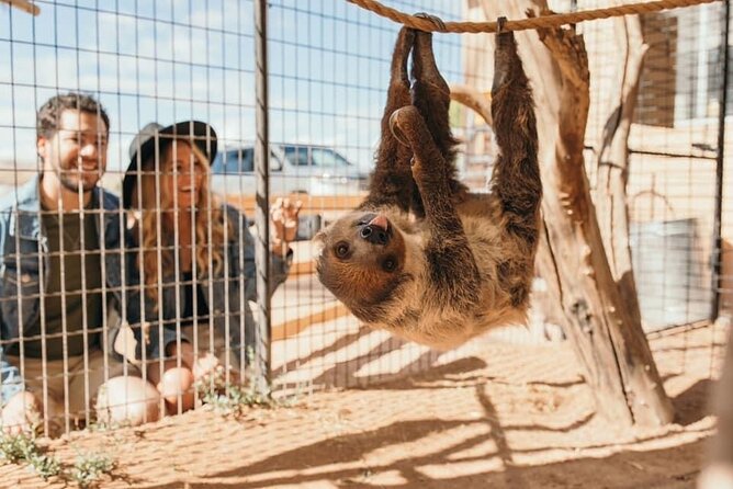 Las Vegas Guided UTV Safari and Zoo Tour - Practical Details and Booking