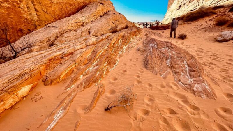 Las Vegas: Hoover Dam, Valley of Fire, Boulder City Day Tour - Who Should Consider This Tour?