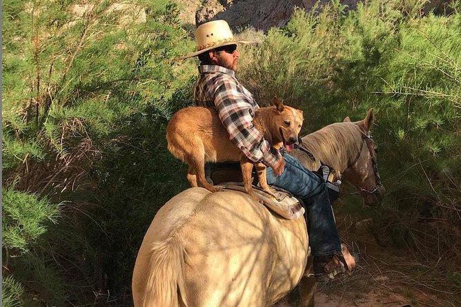 Las Vegas Horseback Ride with Meal - Convenience with Hotel Pickup and Drop-Off