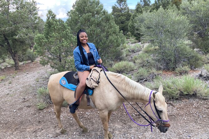 Las Vegas Horseback Riding Adventure in Mountain - The Route and Terrain: What to Expect