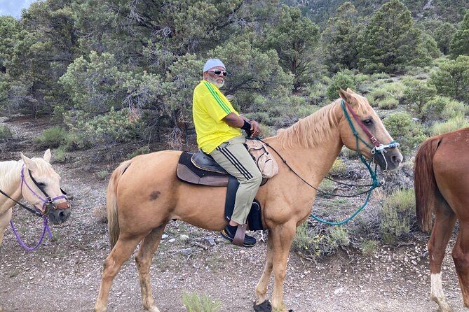Las Vegas Horseback Riding Adventure in Mountain - Customer Feedback: Praise and Concerns