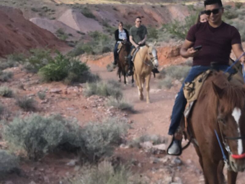 Las Vegas: Horseback Riding with Breakfast - Wildlife Viewing and Desert Flora