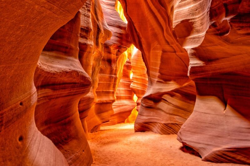 Las Vegas: Lower Antelope Canyon & Horseshoe Bend w/ Lunch - Explore the Spectacular Rocks of Lower Antelope Canyon with a Navajo Guide