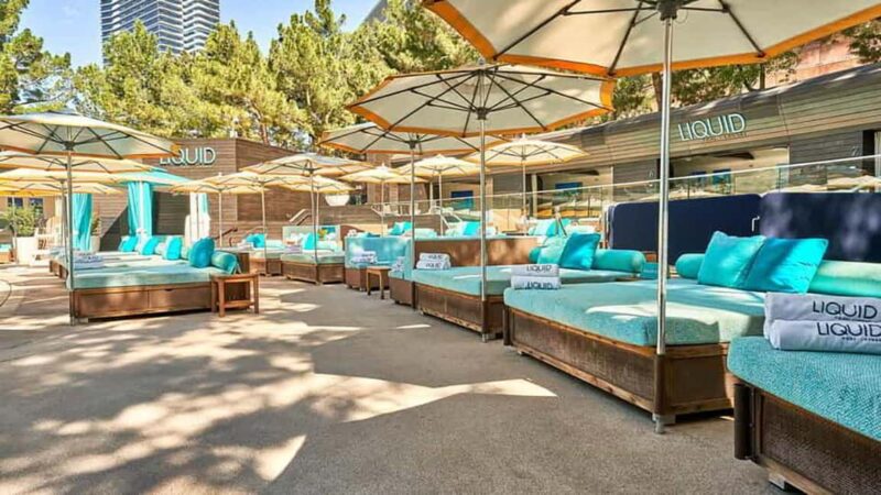 Las Vegas : Pool Crawl w/ Party Bus, Open Bar & VIP Entry - Accessibility and Limitations