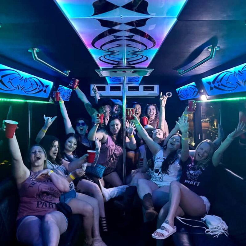 Las Vegas: Private Karaoke Party Bus Tour with Pickup - The Karaoke System and Song Selection