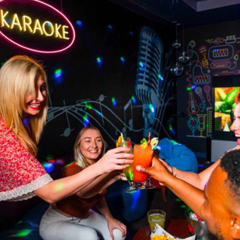Las Vegas: Private Karaoke Party Bus Tour with Pickup - Customization and Flexibility of the Tour Itinerary