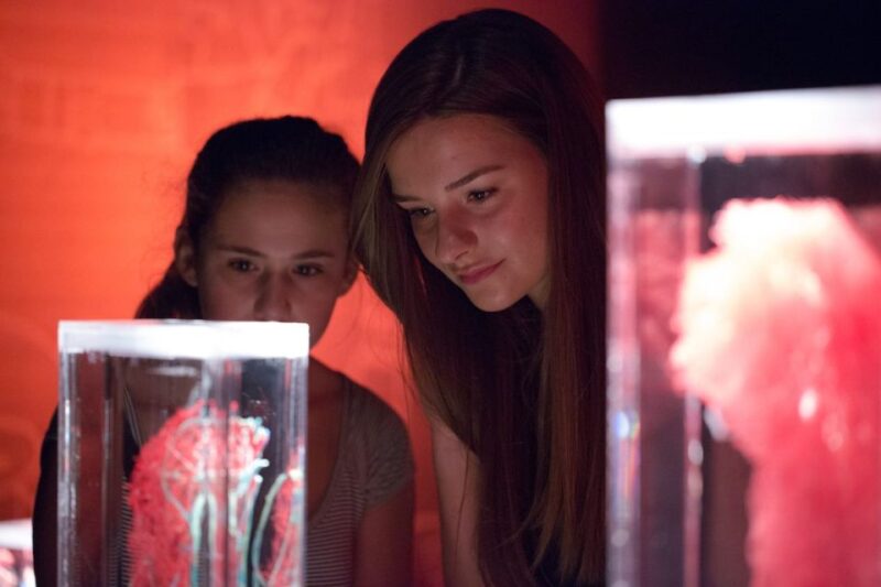 Las Vegas: REAL BODIES at Horseshoe Las Vegas Entry Ticket - Artistic Installations and Unique Environments