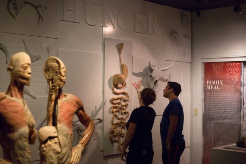 Las Vegas: REAL BODIES at Horseshoe Las Vegas Entry Ticket - Practical Information: Tickets, Timing, and Accessibility