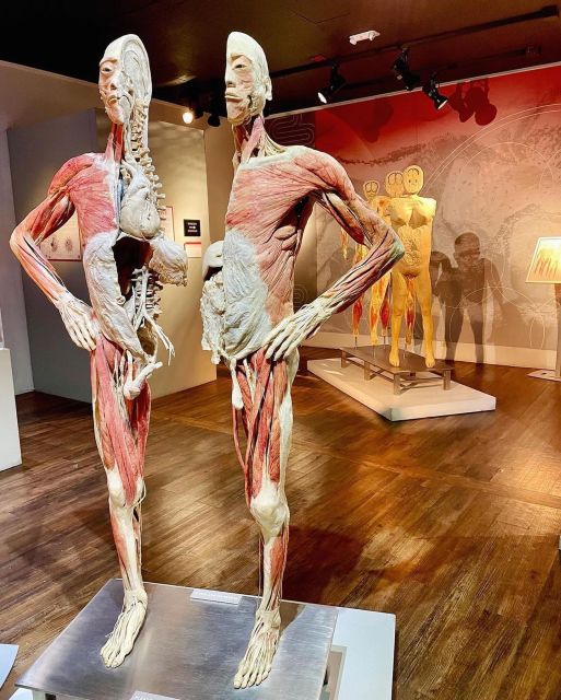 Las Vegas: REAL BODIES at Horseshoe Las Vegas Entry Ticket - Highlighted Art Installations and Their Significance