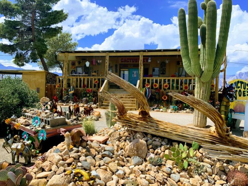 Las Vegas: Red Rock Canyon & Whimsical Cactus Joe's + Lunch - Discover Red Rock Canyons Scenic Beauty and Geological Wonders