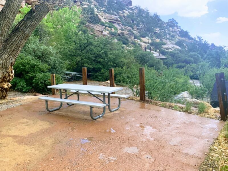 Las Vegas: Red Rock Canyon & Whimsical Cactus Joe's + Lunch - Pricing, Booking, and Cancellation Policies