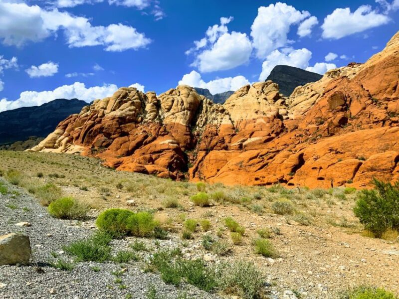 Las Vegas: Red Rock Canyon & Whimsical Cactus Joe's + Lunch - Comparing This Tour to Similar Experiences